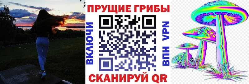 купить наркотик  Верхняя Салда  Галлюциногенные грибы Cubensis 